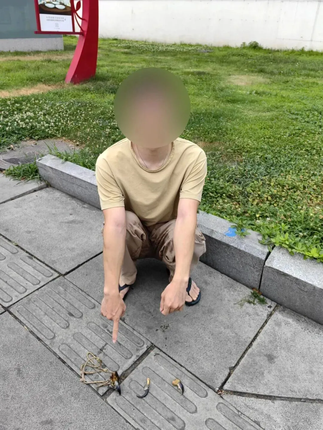 男子购买国家一级保护动物金雕制品，参考价达8万元，成都破获危害珍贵濒危野生动物案