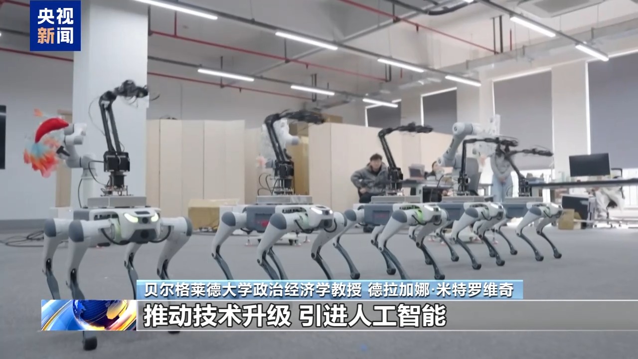 塞尔维亚专家：期待塞中各领域合作迈向新高度