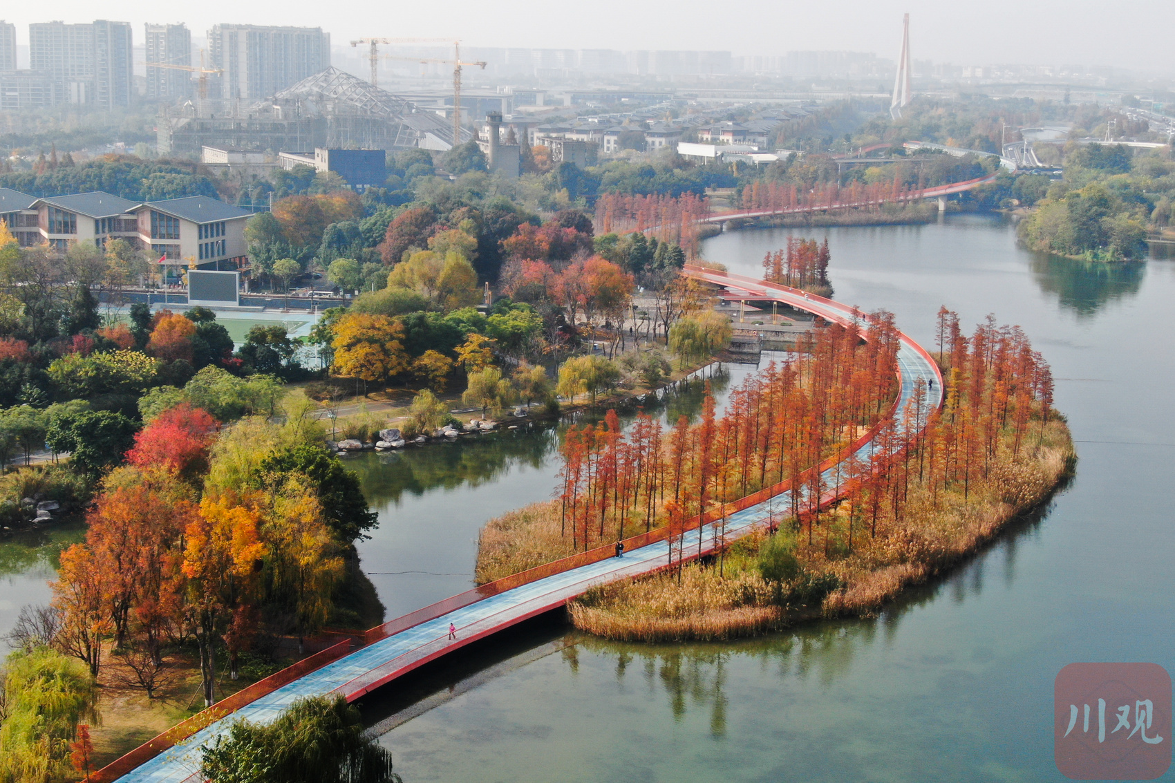 旧友回归、新客到访 四川的生态惊喜藏不住丨牢记嘱托 奋力打造两高地两基地一屏障