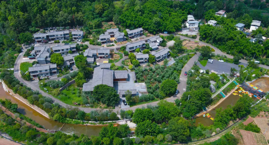 金堂这个村，用直播把“山里好物”卖向全国！