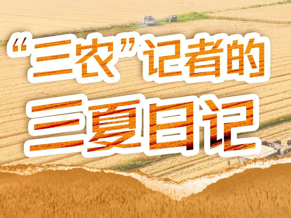 这片稻田不普通 藏着增收密码