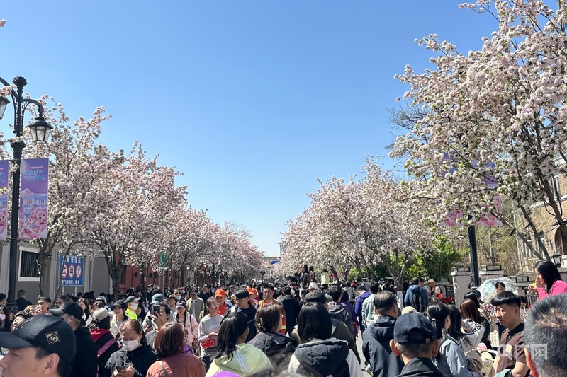 大战略牵引新开局丨正是人间好时节 一城美景半城花