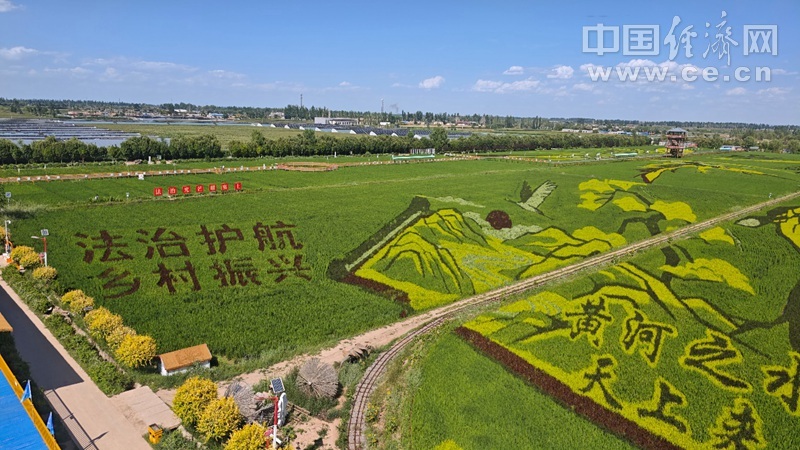 银川这波普法太圈粉！田间有风景，家门口有正义！
