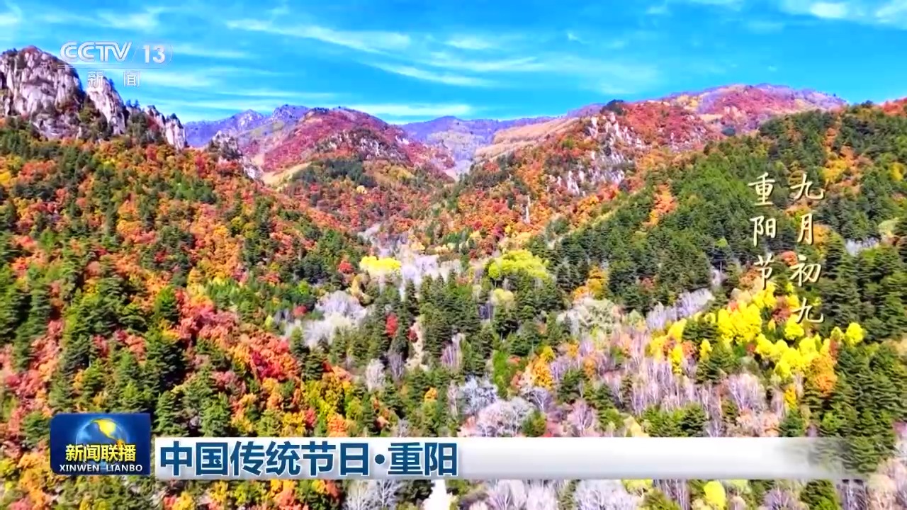 九九重阳 久久情长