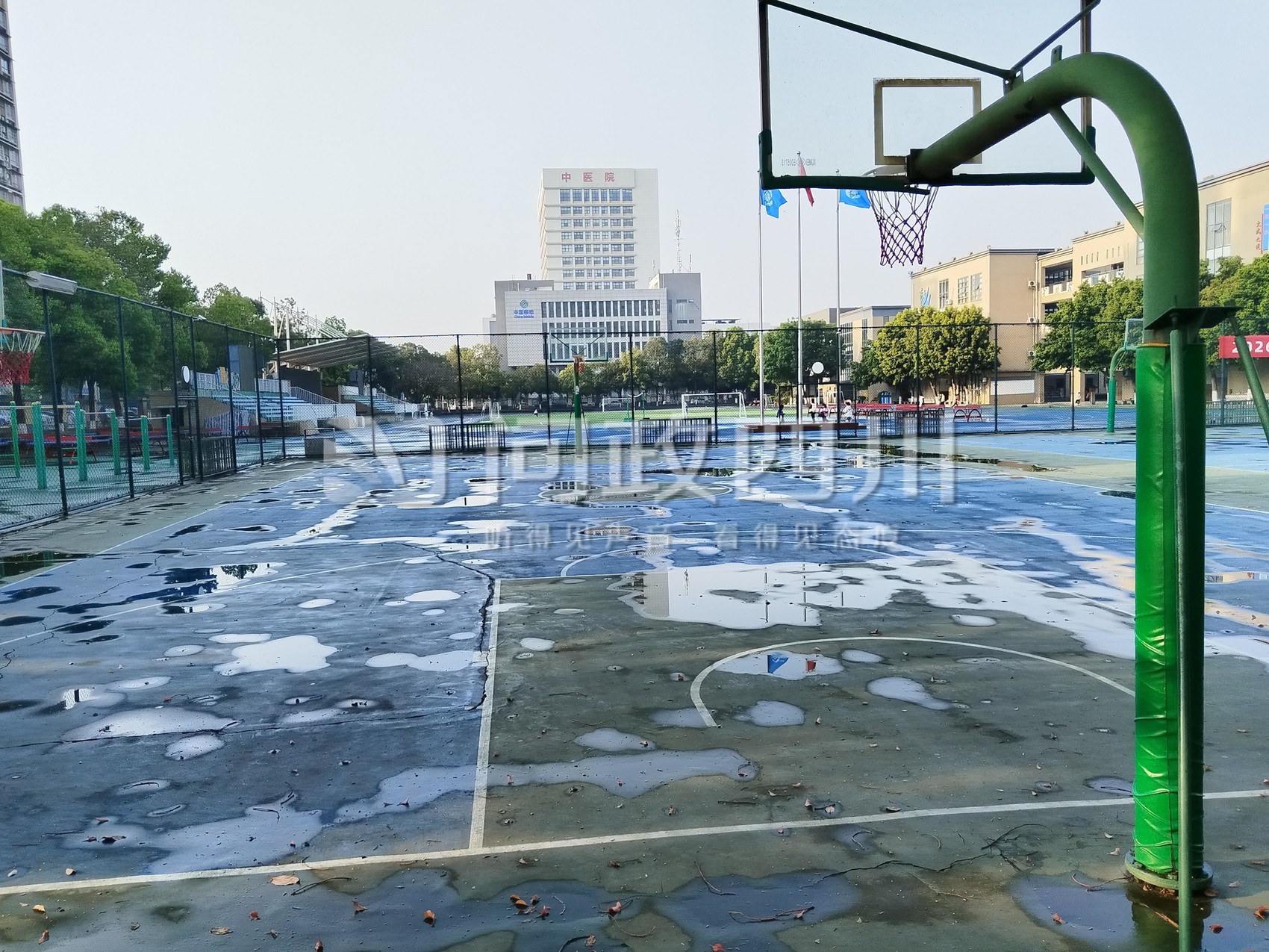 问政 | 商场部分店铺过度使用英文标识，能规范吗？成都回应：推进相关改进工作