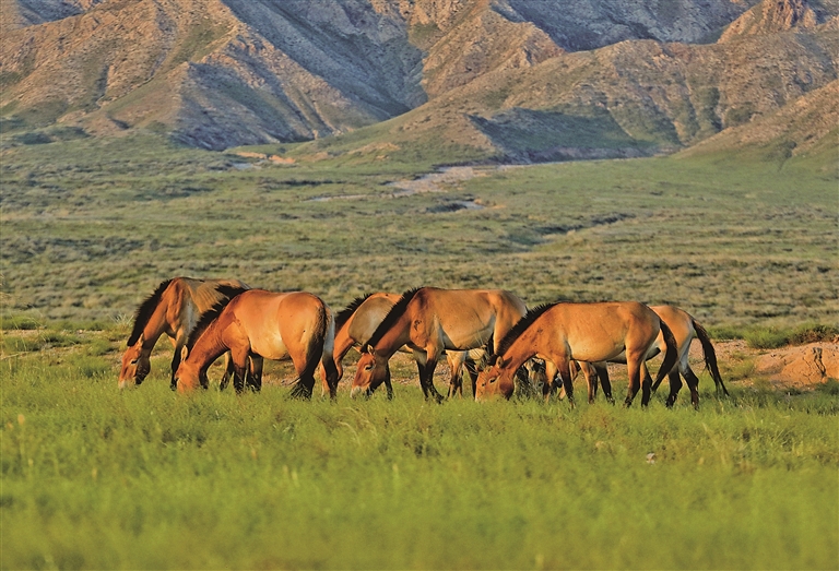 走进春天，触摸这跃动的生命图景