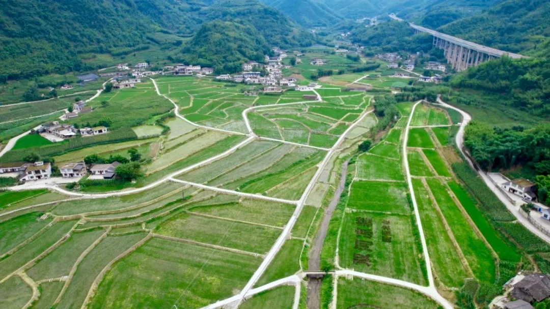 https://alifile.yibinrm.cn/cms/2026-09-08/244430196/6AC84536D88335948851765C7ED23DC9.jpeg