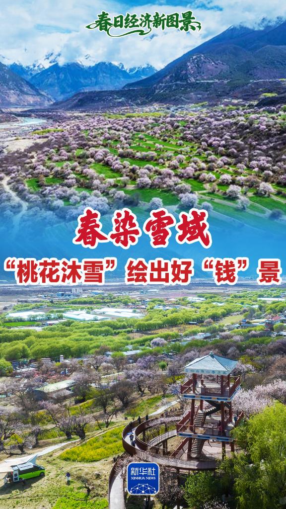春日经济新图景｜春染雪域，“桃花沐雪”绘出好“钱”景