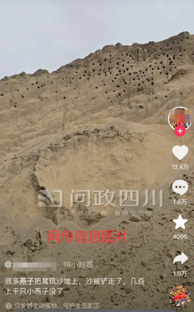 问政 | 绵阳违规挖砂致“成百上千只燕子死亡”？官方回应来了