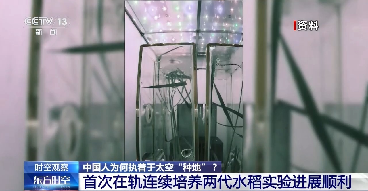 从蔬菜到水稻 中国人为何执着于太空“种地”？
