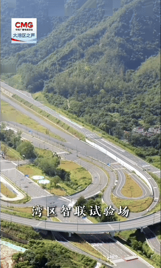 勇立潮头大湾区|“超级试验场”打开协同新空间