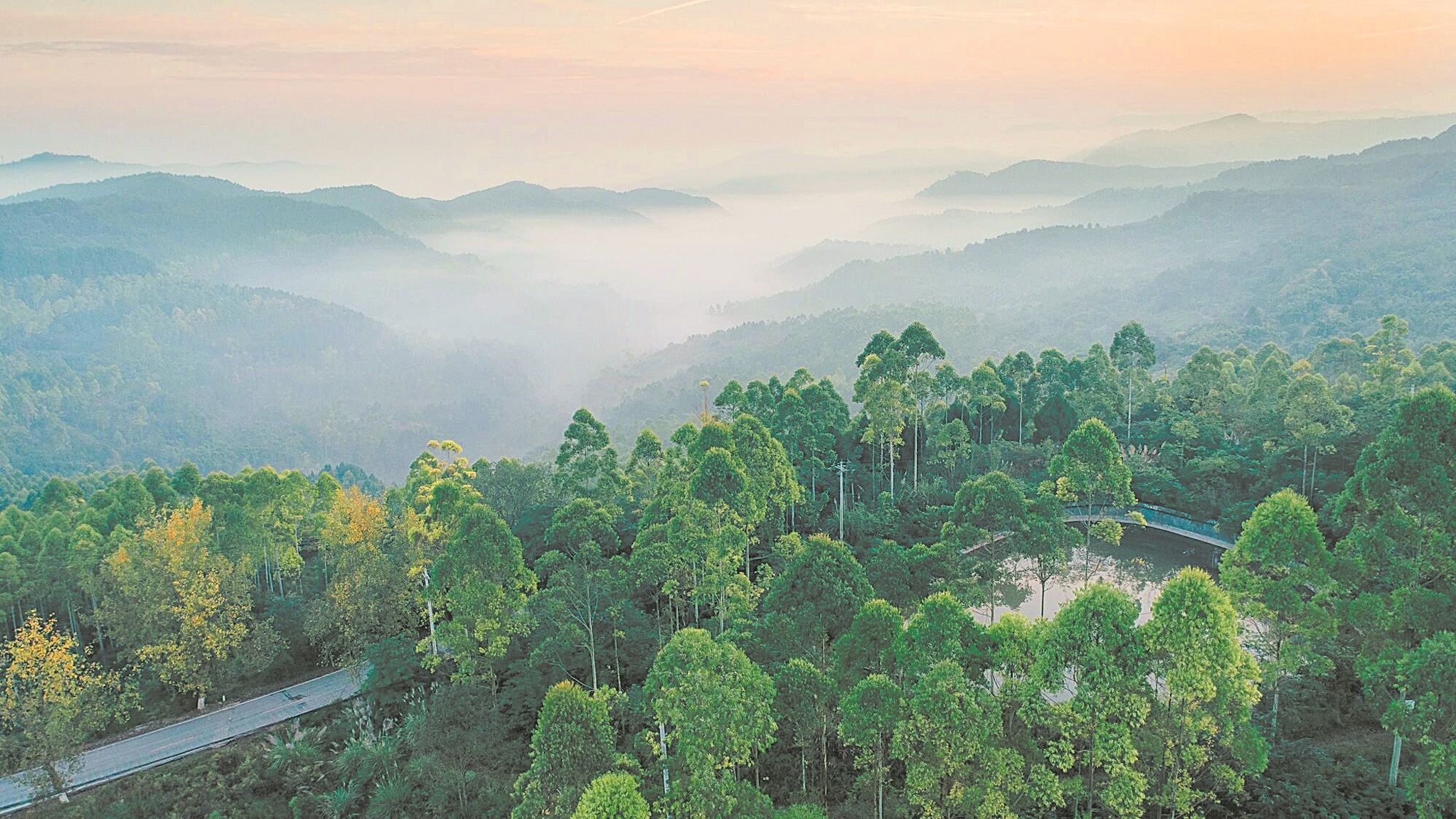 龙泉山生态保护修复项目加快推进