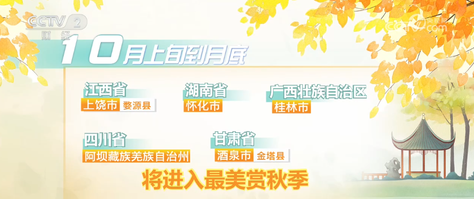 按图索骥沉浸式解锁“秋日限定”美景 “南北互换”“大迁徙”成为假日“新”风景