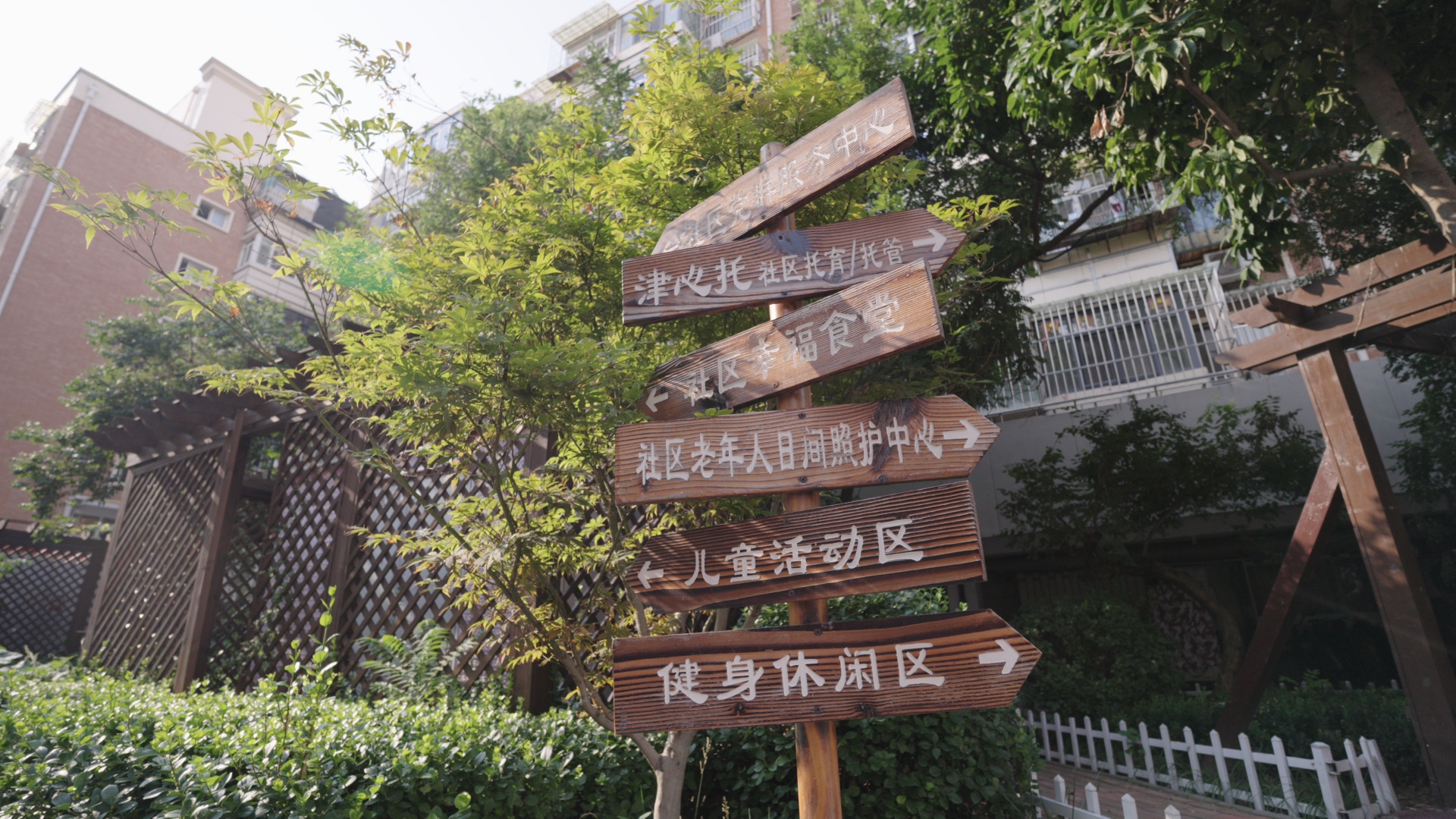 大战略牵引新开局｜温情呵护“一老一小” 绘就“全龄友好”幸福画卷