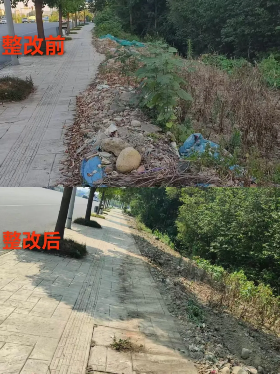 从留言到行动，成都这套城市治理模式太圈粉了 (http://armanice.com/) wap 第2张