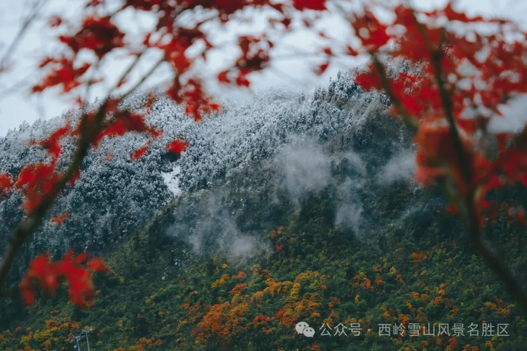 “秋假”来了！四川这些景区宣布免门票