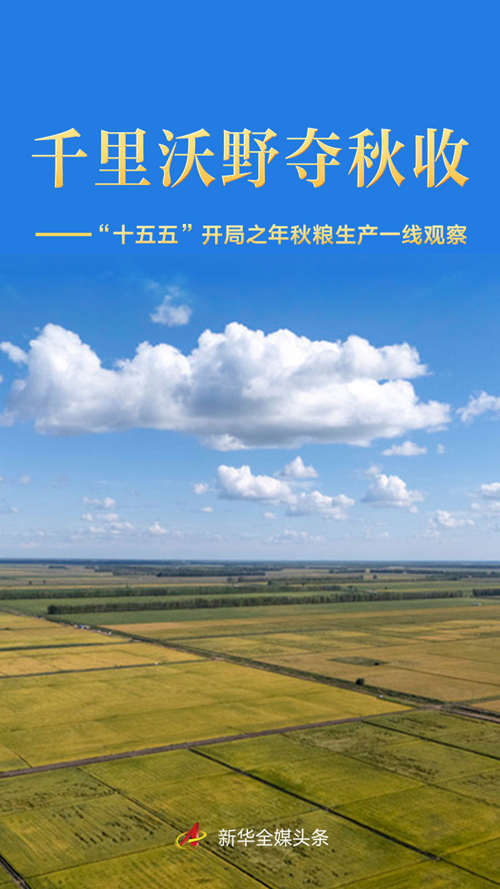 千里沃野夺秋收