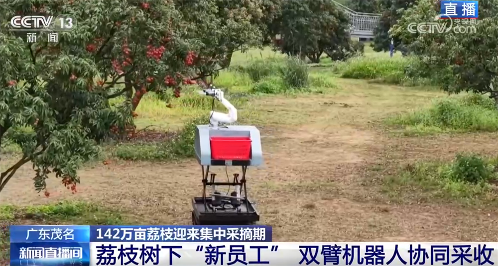 科技助力特色产业耕出好景“智” “小”荔枝串起乡村振兴“大文章”