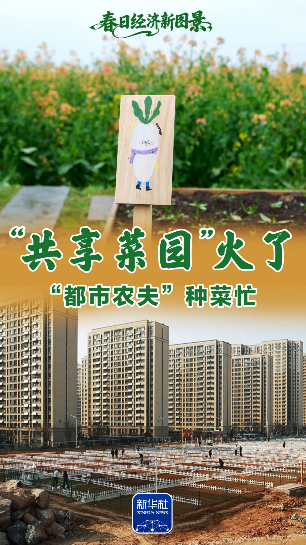 春日经济新图景｜“都市农夫”种菜忙