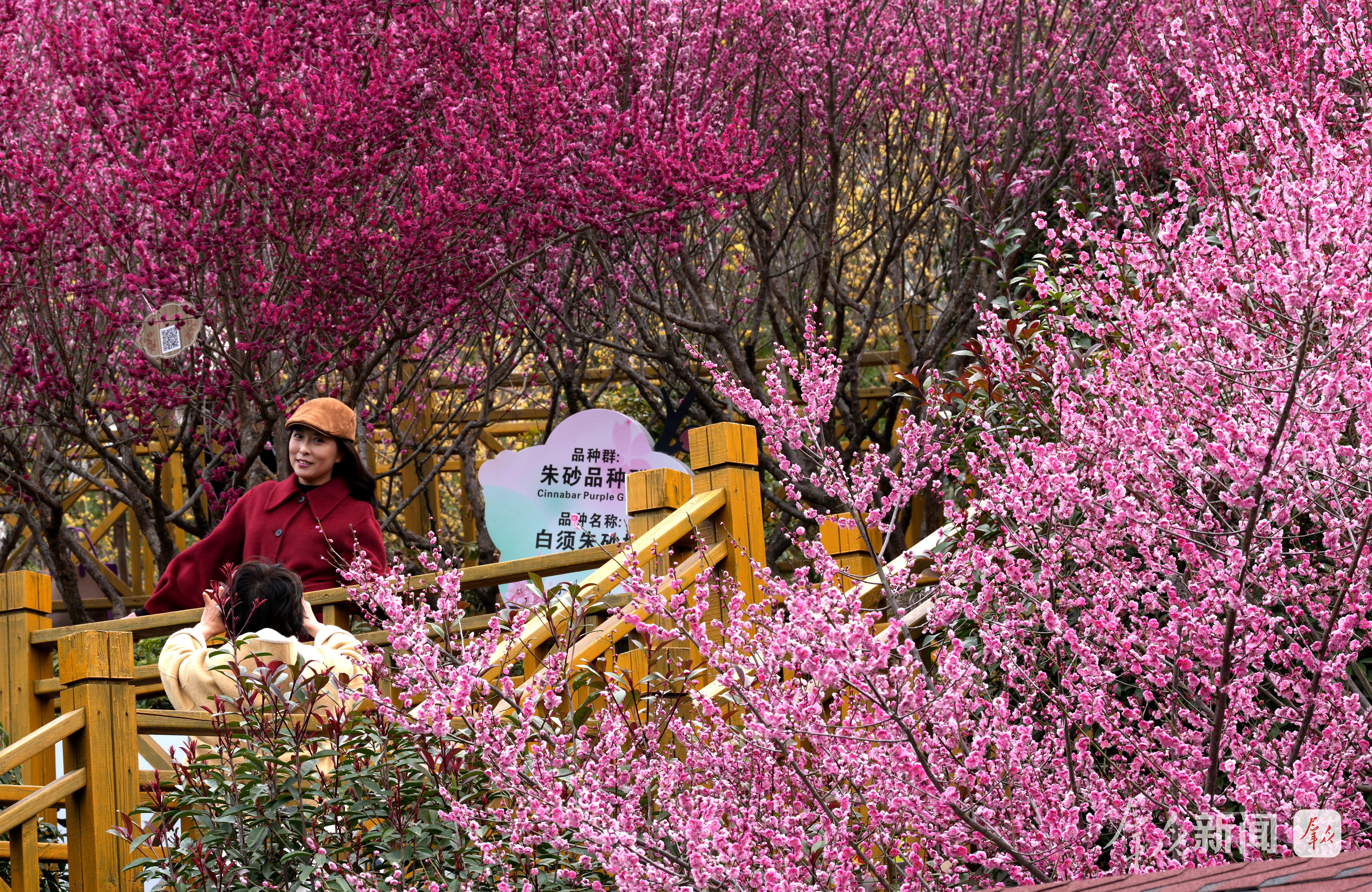 安康市加快建设宜居宜业和美乡村——沃野乡村 山水“生金”