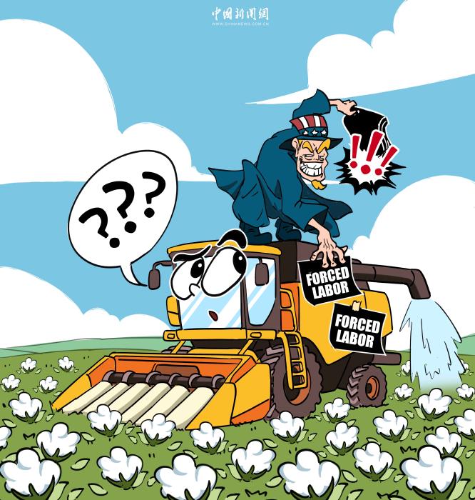 新疆棉花，抹不黑