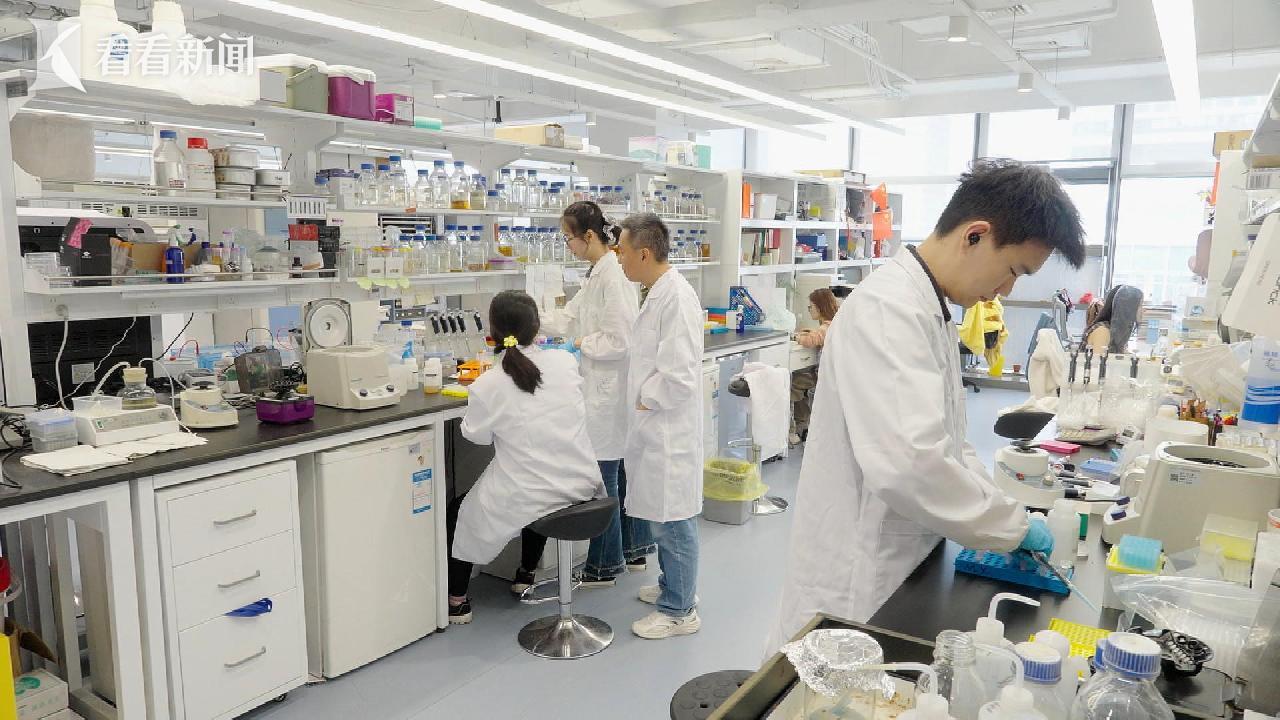 聚焦高风险高价值 上海基础研究跑出创新加速度