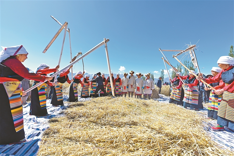 青稞田里话丰收——西藏“藏粮于地、藏粮于技”的实践与启示