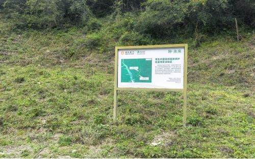 (恒生中国“种·未来”森林保护修复项目地现场。恒生中国供图)