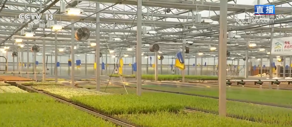 手机变成“新农具” “一键触达” 看春耕春灌里的“科技范儿”