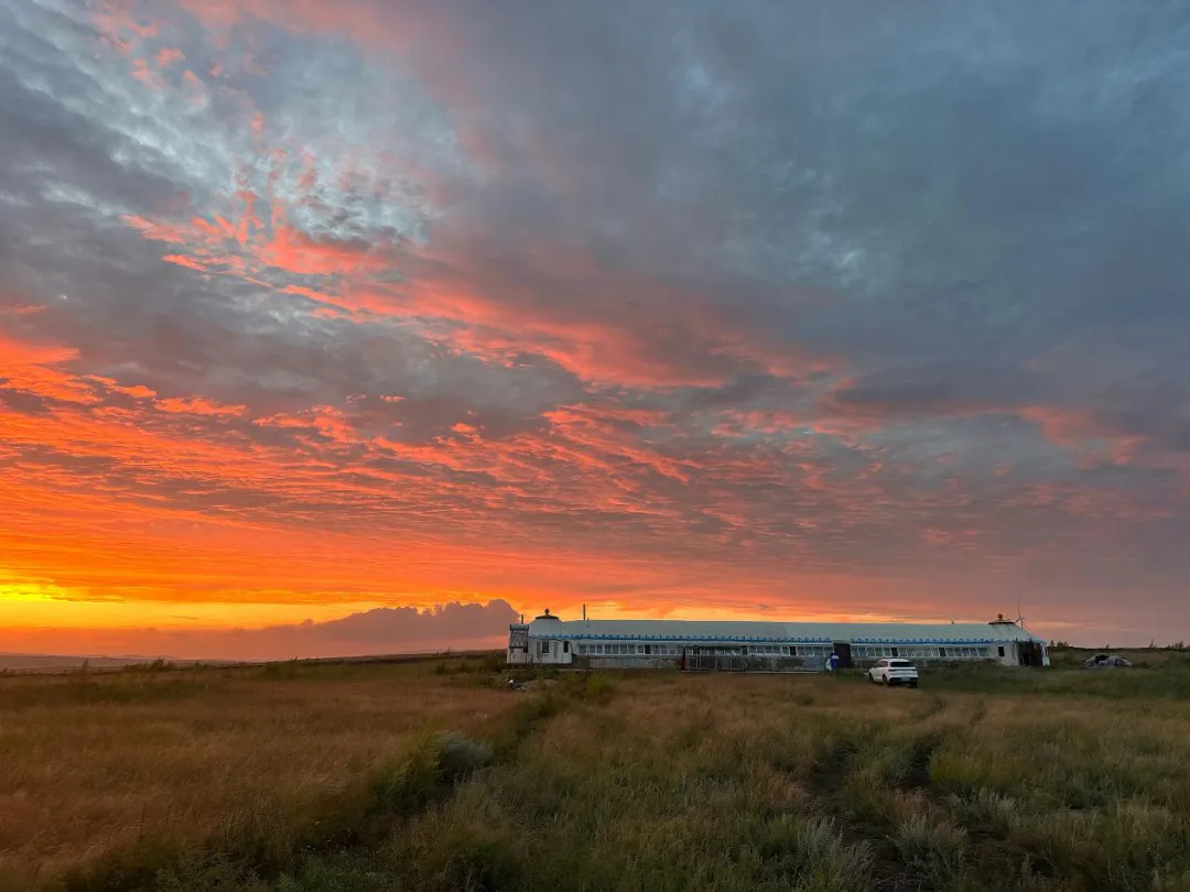 星空体育智能科技：小山村的拼多多年货时间(图1)