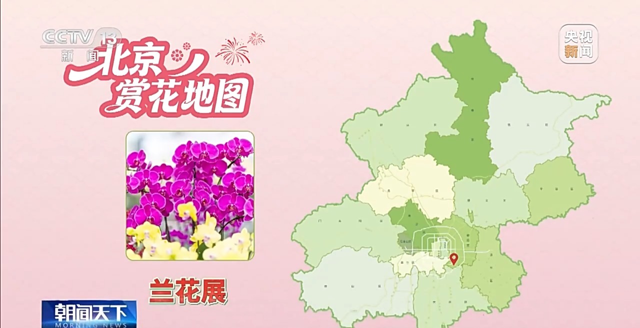 精准控制温度光照 看科技如何给年宵花“调生物钟”