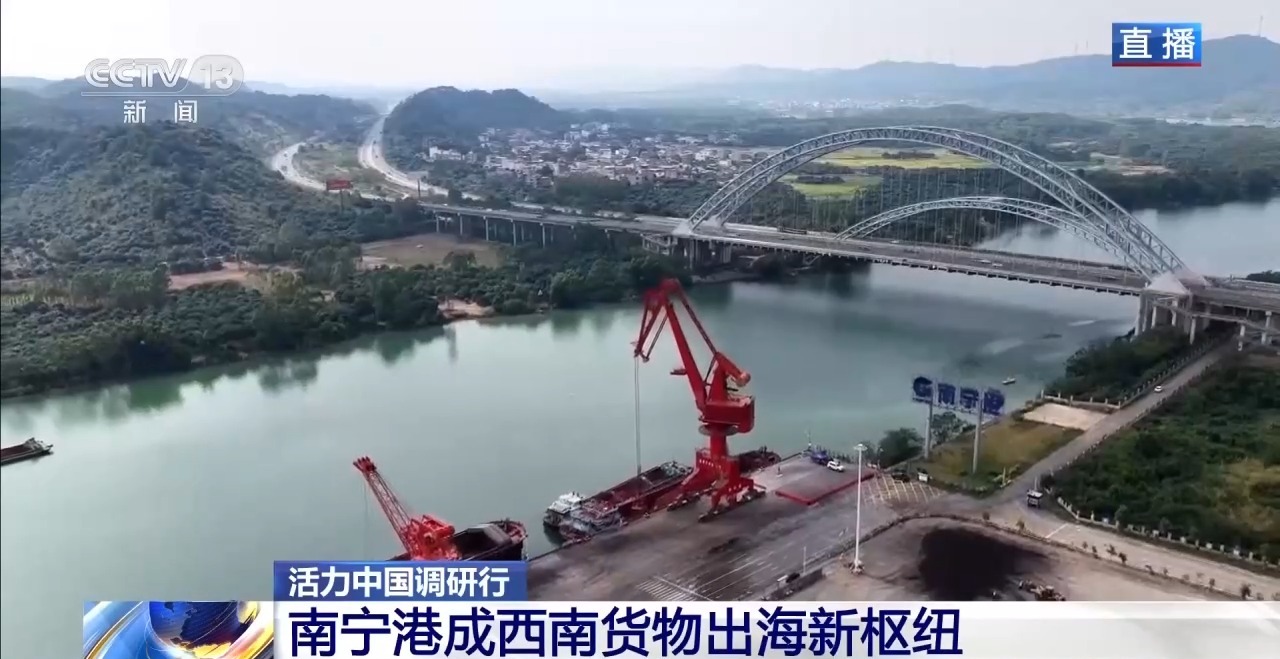 活力中国调研行丨平陆运河通航即将满月 南宁港有哪些变化？