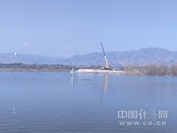 “新”中有你｜“红色的山口”擦亮绿色发展的底色