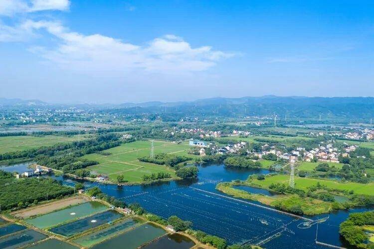 向“绿”而行 “碳”路致远