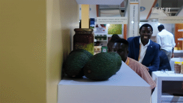 遇见进博会｜普惠贸易的生动注脚