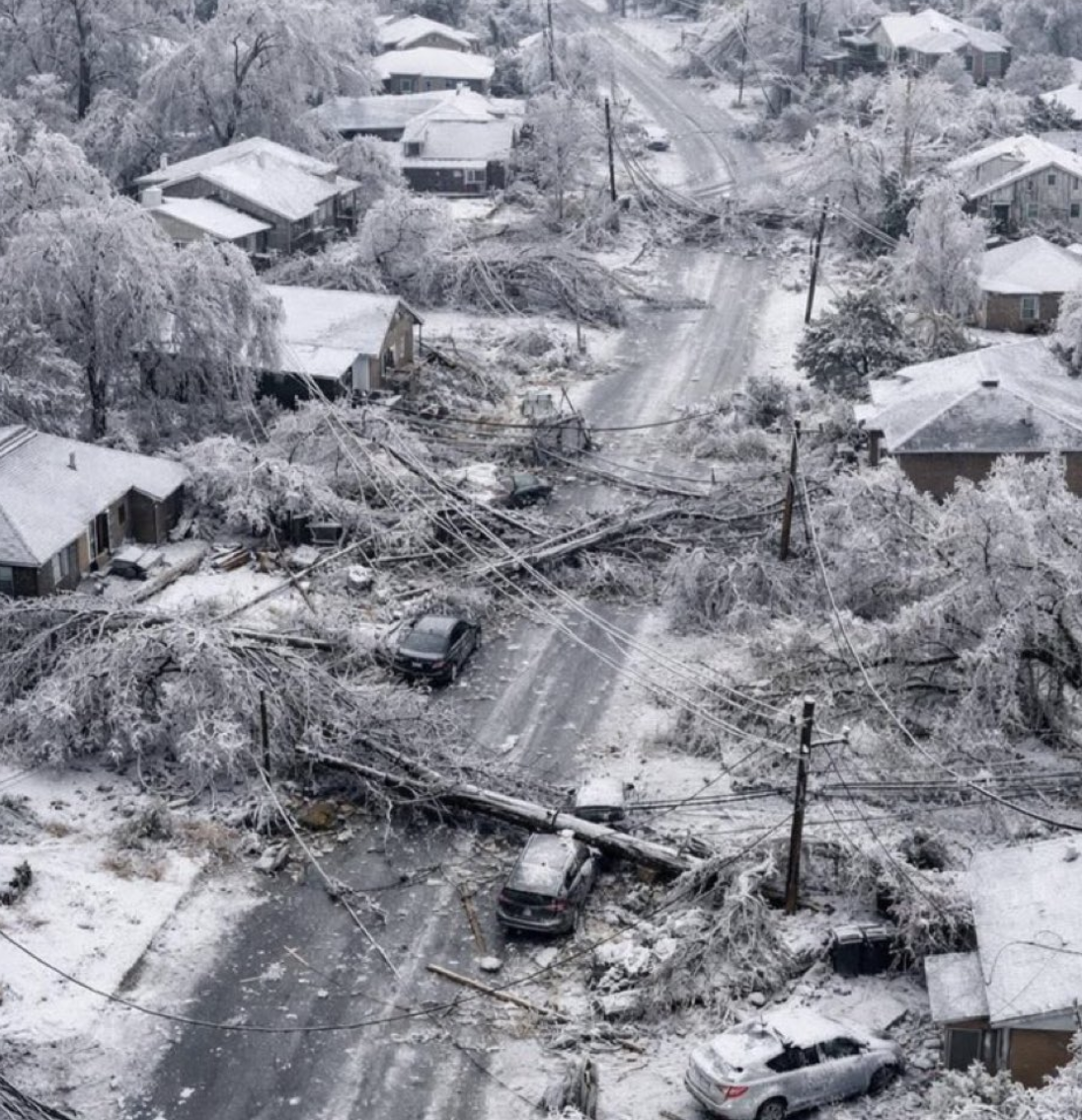 前有“ICE”后有极端暴雪，美国人民如何极限求生？这份“自救清单”在美国火了