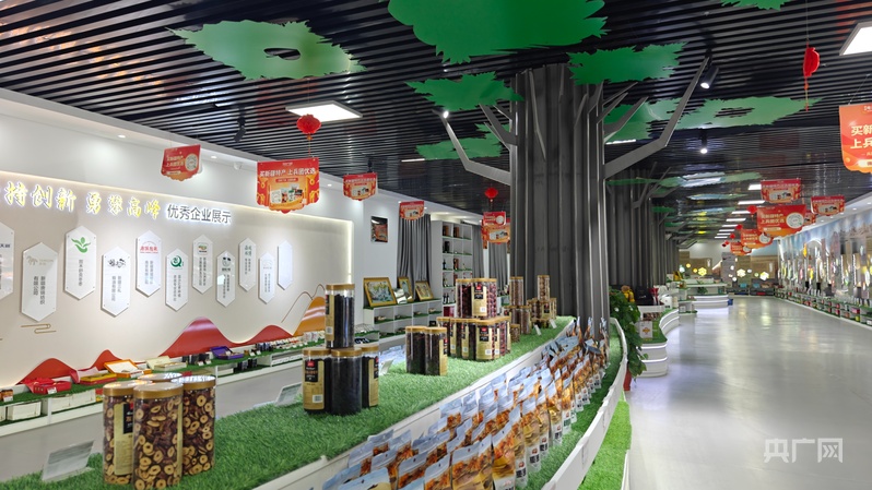 新质新造·兵团丨图木舒克高质量发展步履坚实