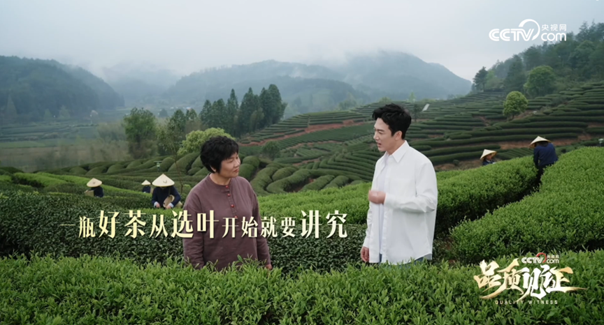 行业观察｜千亿即饮茶市场开启下半场厮杀：红利不再普惠，头部品牌凭长期实力增长 (http://www.kingbaby.com.cn/) wap 第3张