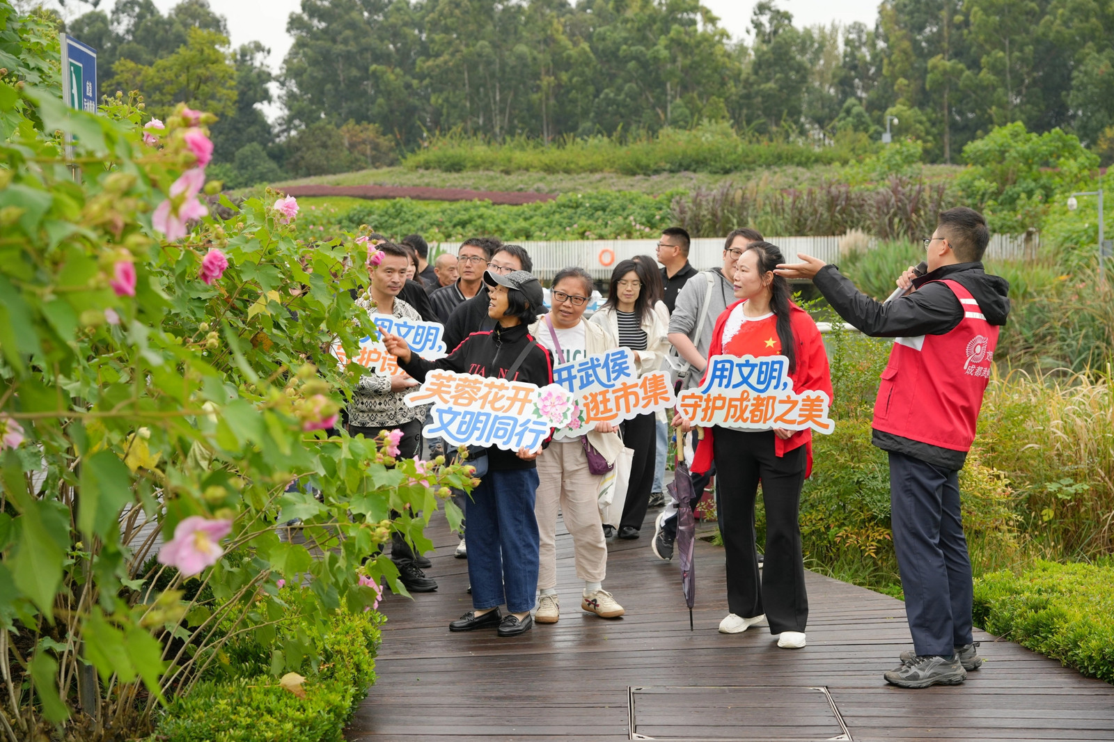芙蓉盛放！成都把文明课堂搬进绿道花海