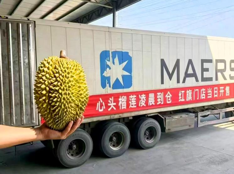 山海鲜品接连就位！挪威三文鱼之后，红旗连锁榴莲圈粉更多成都市民