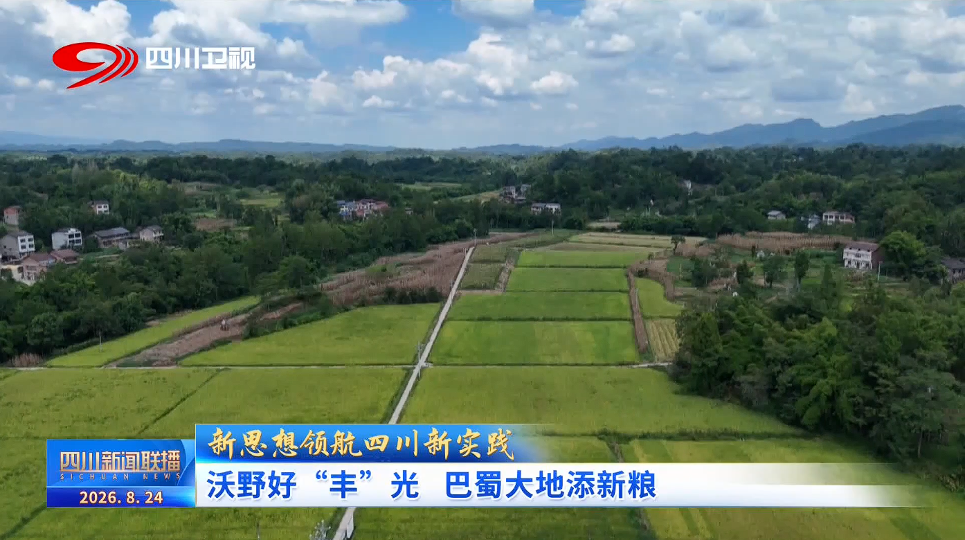 四川新闻联播丨沃野好“丰”光 巴蜀大地添新粮