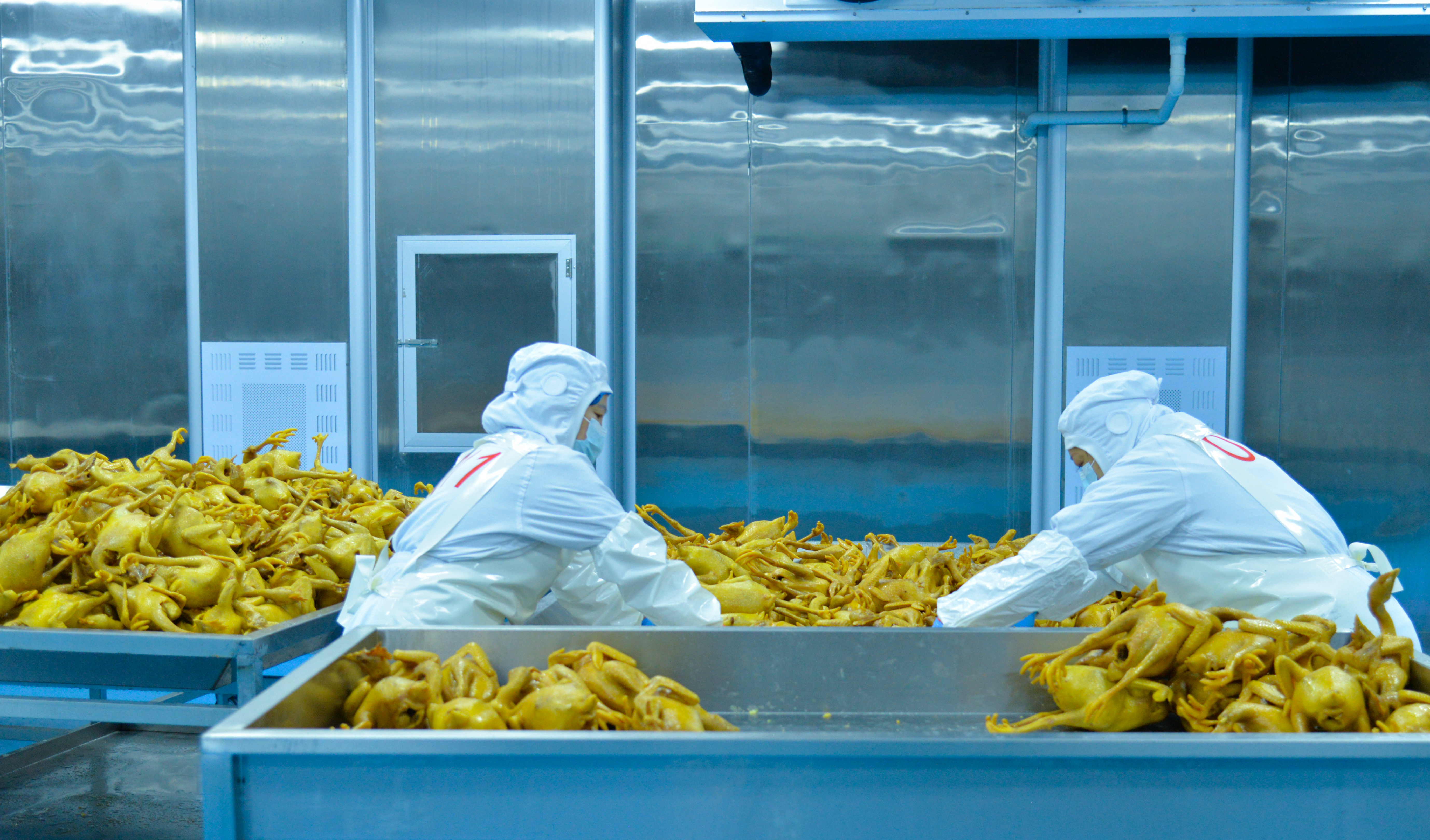 成都金堂：从一口卤锅到现代化企业 御味央厨写出川派美食“味”来式