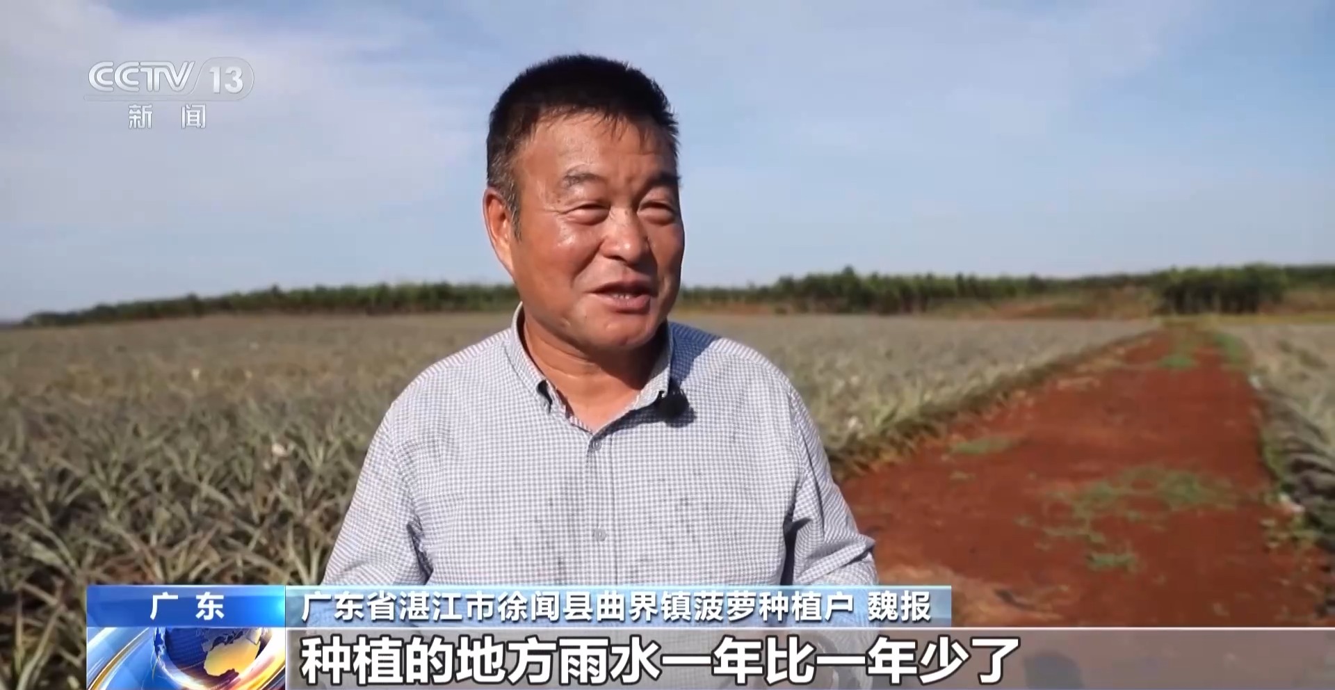 六网织就新未来丨守护“菠萝的海” 源头活水打开产业新版图