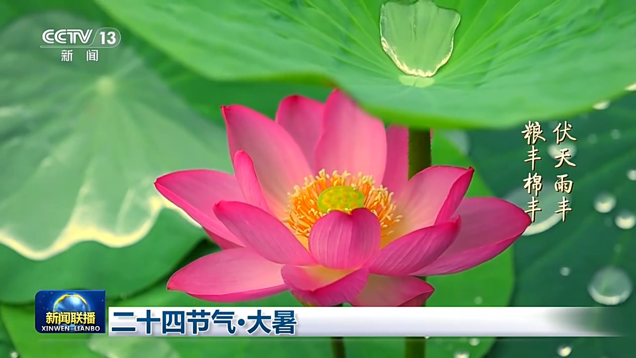 文化中国行丨二十四节气·大暑 感受盛夏最浓时