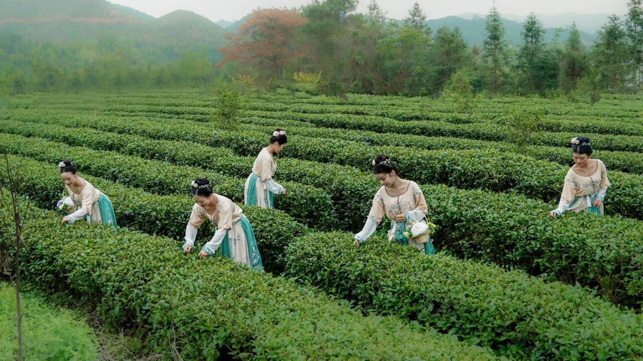 3个月，8亿人次，乡村文旅靠什么吸引游客？
