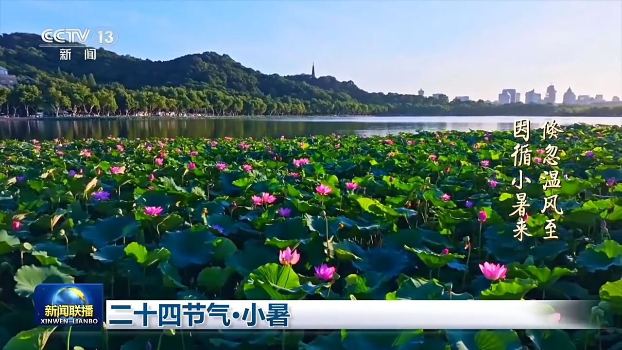 文化中国行丨二十四节气·小暑