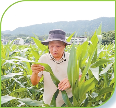 技术只有长在田里才算数——四位农技员的故事
