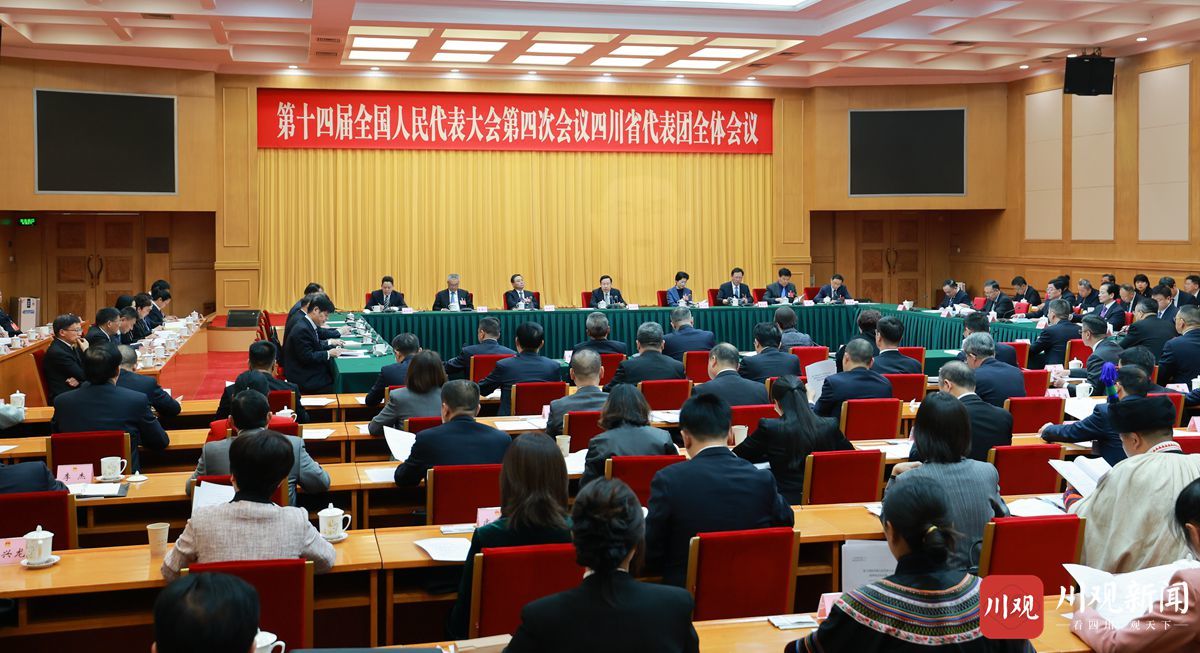 四川代表团举行全体会议 讨论通过代表团全团建议 王晓晖主持 施小琳出席