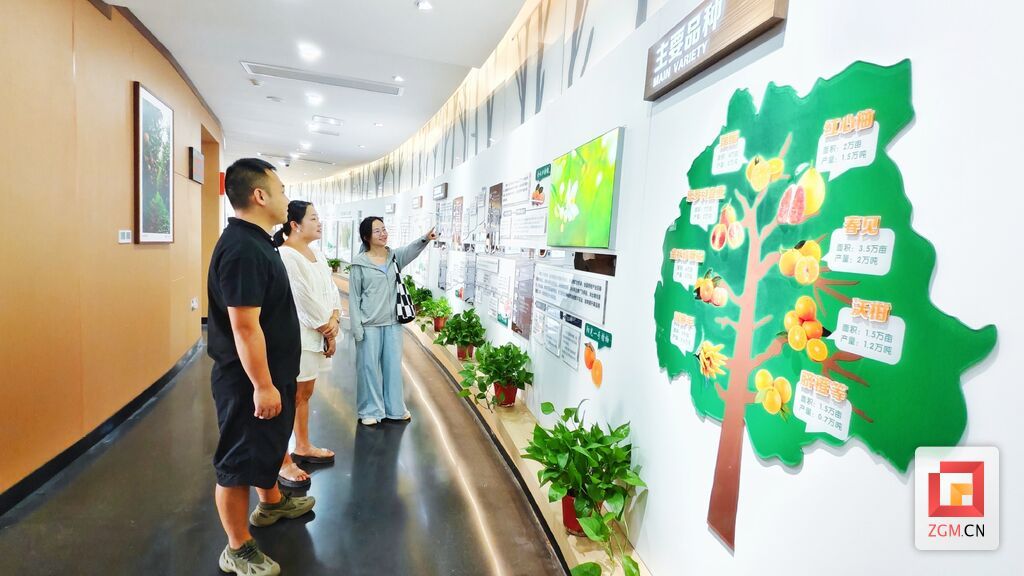6、花園村新落成的“橘創(chuàng)空間”展覽館，吸引了眾多游客前來參觀打卡。（自貢融媒記者 芶思攝）.jpg