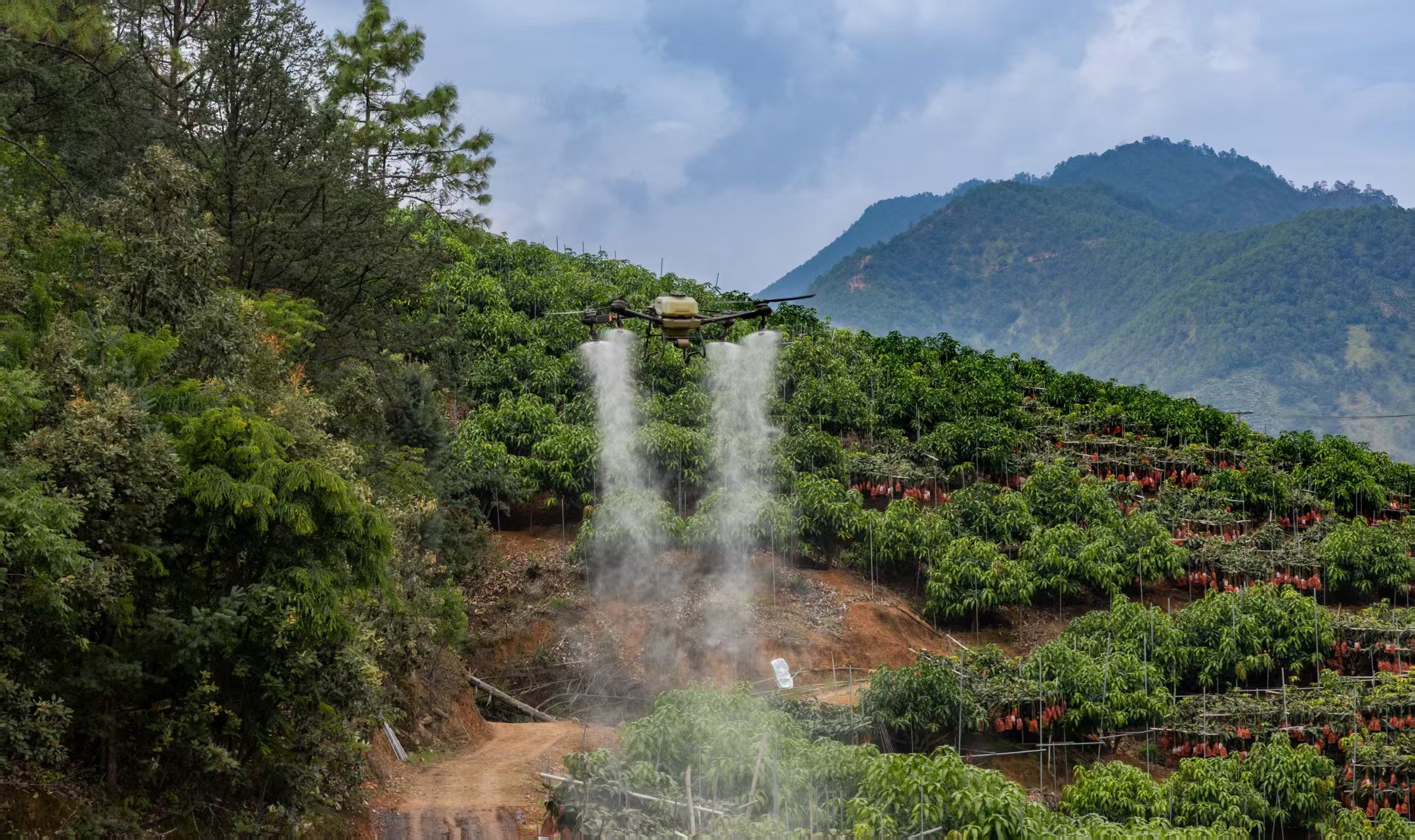 微信圖片_20251210173201_480_17